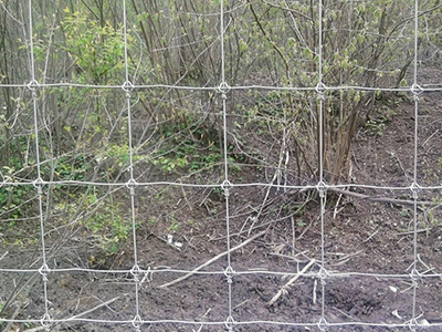 澳門鹿網(wǎng)圍欄